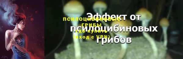 гашик Абаза