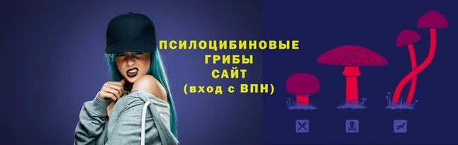 гидра Алексеевка