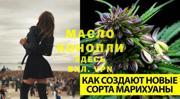гидра Алексеевка