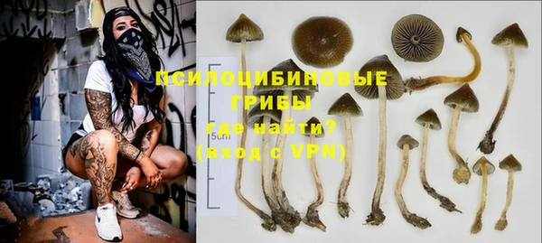 гидра Алексеевка